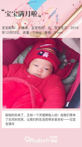 journal_insert_pic_1157997023