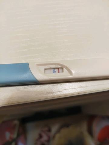 journal_insert_pic_1158289293