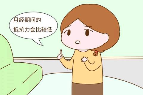 journal_insert_pic_1158144927