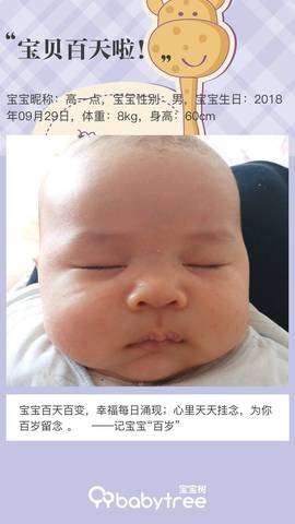 journal_insert_pic_1157994299