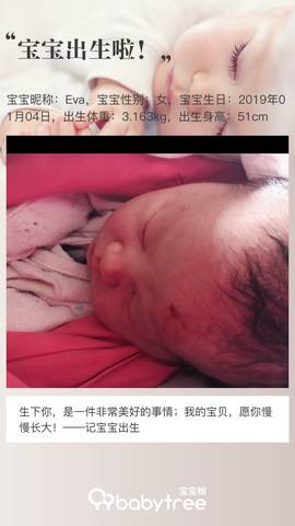 journal_insert_pic_1159659446