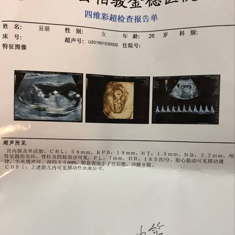 journal_insert_pic_1159612993