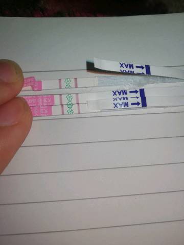 journal_insert_pic_1160114798