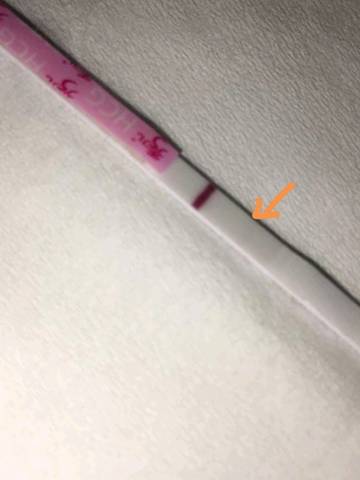 journal_insert_pic_1160233980