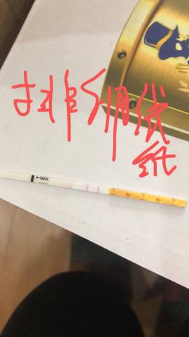 journal_insert_pic_1160253429