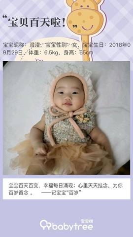 journal_insert_pic_1160811311
