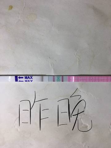 journal_insert_pic_1161715793
