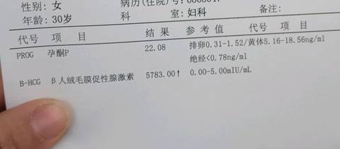 journal_insert_pic_1162206215