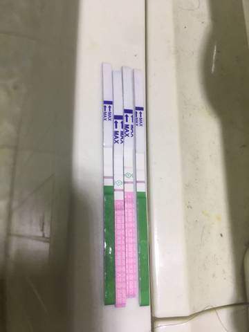 journal_insert_pic_1162069624