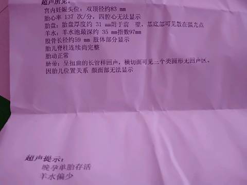 journal_insert_pic_1162055348