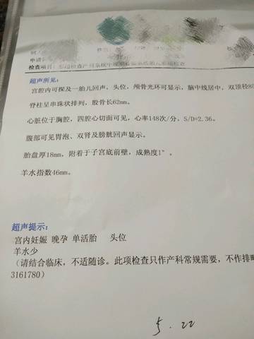 journal_insert_pic_1162405666