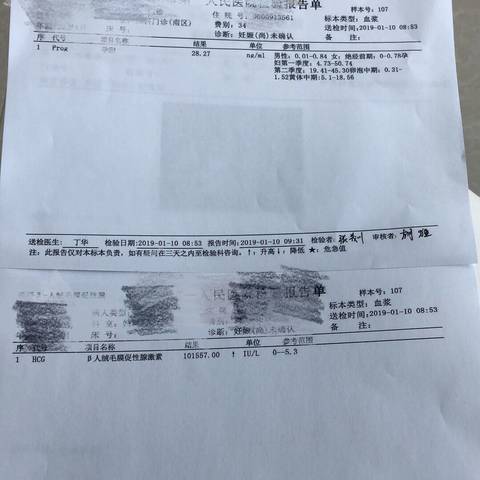 journal_insert_pic_1163038956