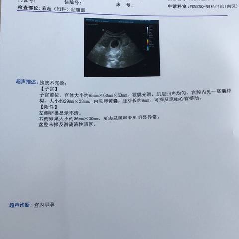 journal_insert_pic_1163038950