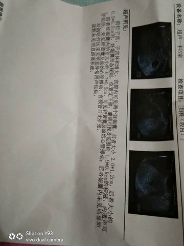 journal_insert_pic_1163702553