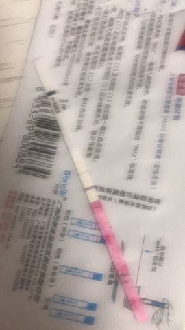 journal_insert_pic_1163531300