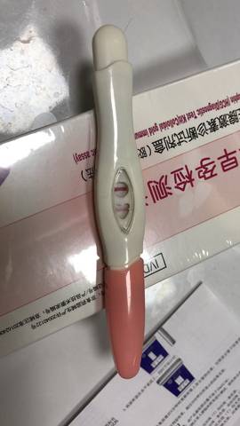 journal_insert_pic_1164038392