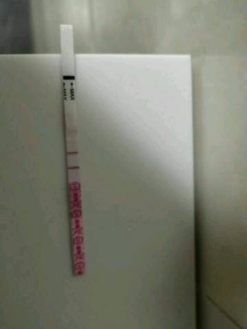 journal_insert_pic_1164623147
