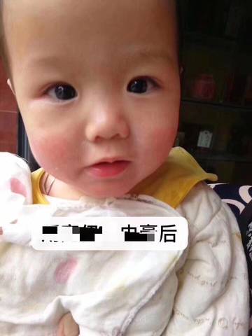 journal_insert_pic_1164384115