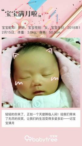 journal_insert_pic_1165002079