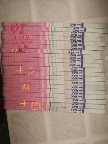 journal_insert_pic_1165097759