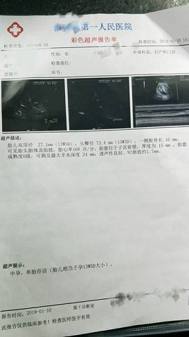 journal_insert_pic_1164927863