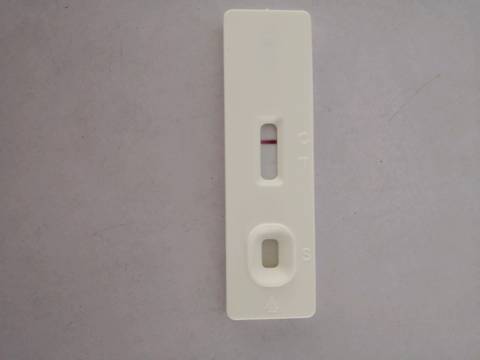 journal_insert_pic_1164990296