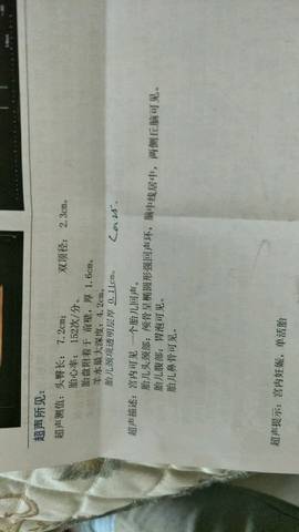 journal_insert_pic_1165153383