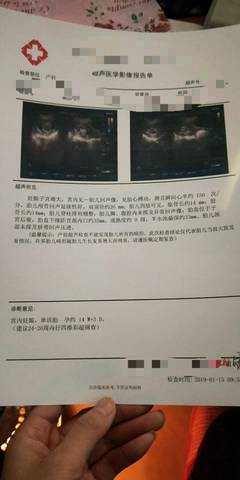 journal_insert_pic_1165584592