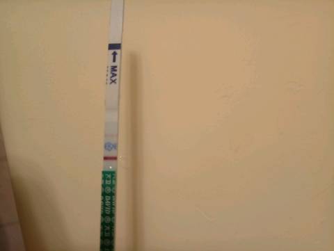 journal_insert_pic_1165440526