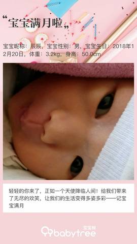journal_insert_pic_1166484095
