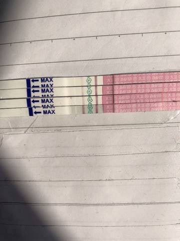 journal_insert_pic_1167071378