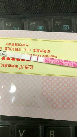 journal_insert_pic_1167766641