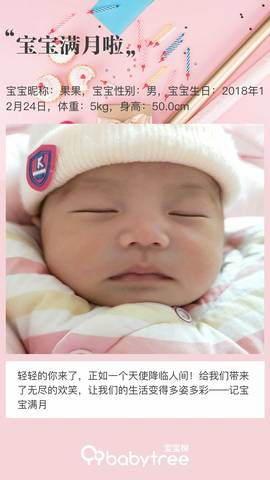 journal_insert_pic_1168362208