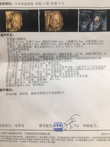 journal_insert_pic_1168482881