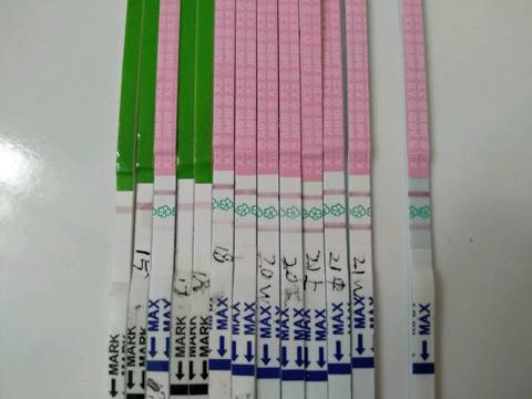 journal_insert_pic_1168894880