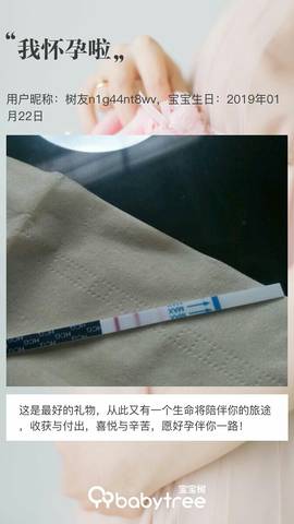 journal_insert_pic_1169107122