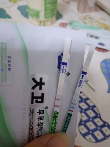 journal_insert_pic_1169621456
