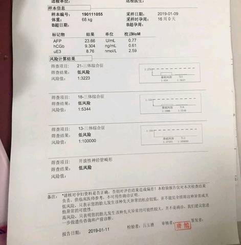 journal_insert_pic_1169424265