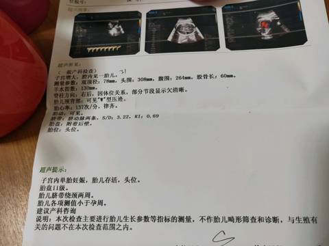 journal_insert_pic_1170561003