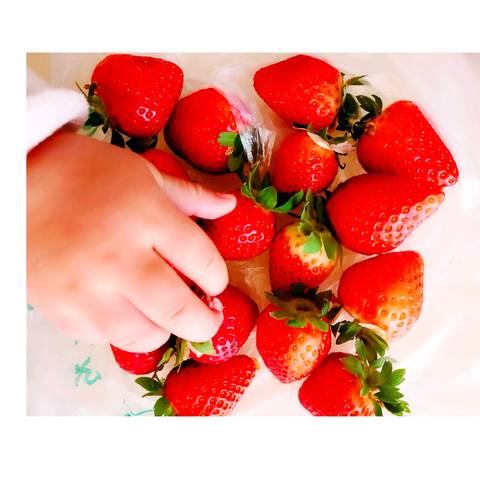 journal_insert_pic_1170410050