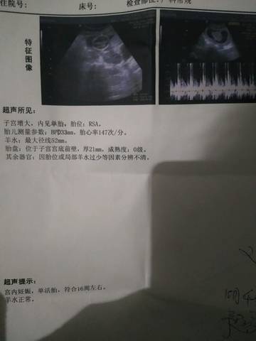 journal_insert_pic_1170332785
