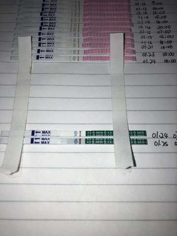 journal_insert_pic_1170339644