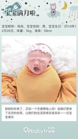 journal_insert_pic_1170405300