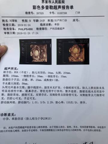 journal_insert_pic_1170346966