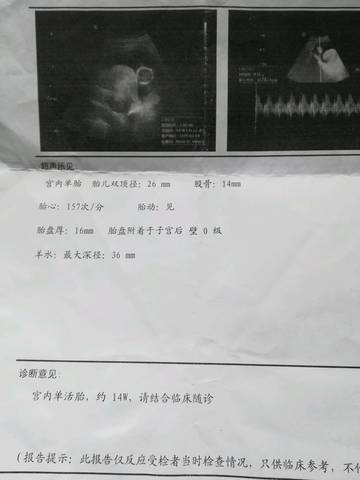 journal_insert_pic_1171595562