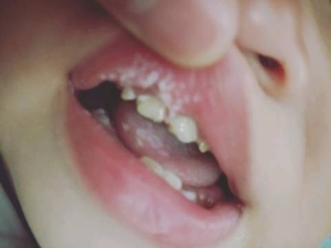 journal_insert_pic_1171863909