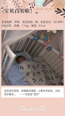 journal_insert_pic_1172808418