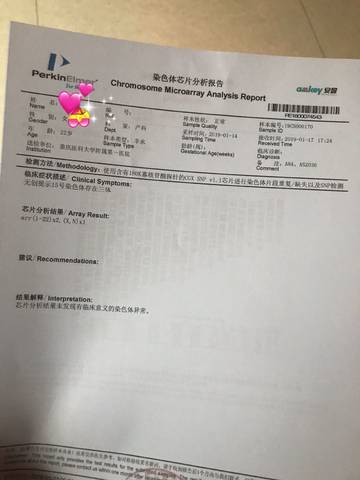 journal_insert_pic_1172982336