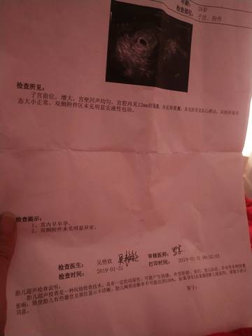 journal_insert_pic_1173393007