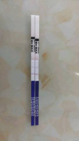 journal_insert_pic_1173358743